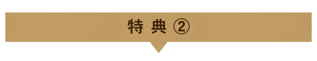 キャンペーン2