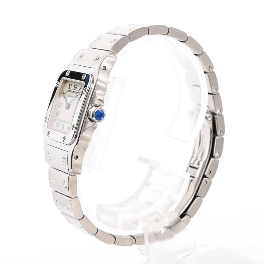 k*m様 S4566☆オークション販売☆ サンスベリア スノーホワイト 極上美