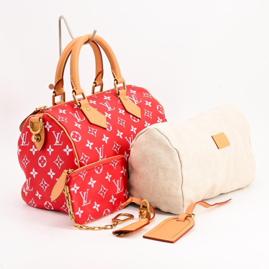 スピーディP9バンドリエール25 | M24425 | ボストンバッグ | 型押し