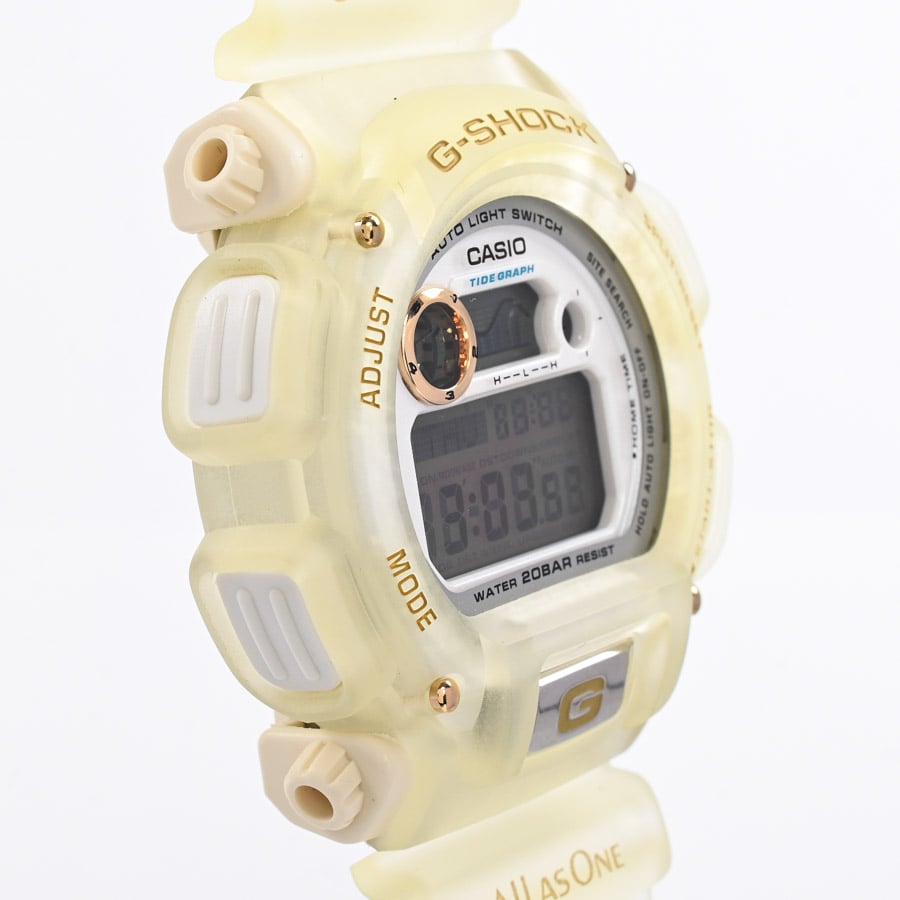 G-SHOCK イルカ・クジラ会議 記念モデル | DW-9000K-9T | ステンレス 