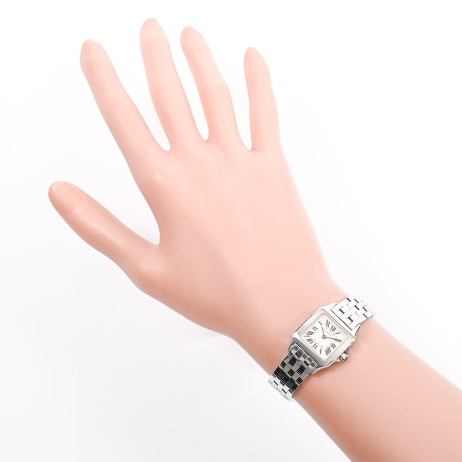 サントスドゥモワゼルSM | W25064Z5 | ステンレス | 中古A品