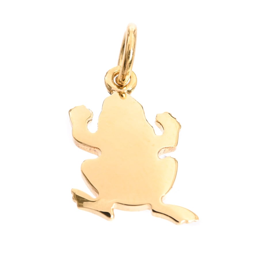 黄金のカエル(rana d'oro) 黄金のカエル(rana d'oro) （黄金色のカエル | 野生植物研究所）